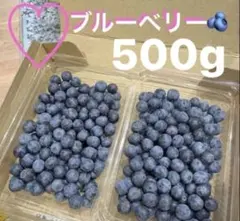 ハニー農園　新鮮なブルーベリー　無農薬　宅急便コンパクト発送 ハニー農園 新鮮なブルーベリー 無農薬 宅急便コンパクト発送 - メルカリ