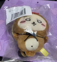 たぬきだもんくじ ラッコ　C賞