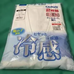 GUNZE 半袖U首Tシャツ 2枚組 L [新品]