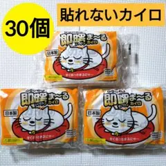 Item thumbnail for item 5703af11-2832-45f2-b3e5-9e21ebc3c14f