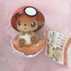 2025年最新】プチぬいぐるみ ロコンの人気アイテム - メルカリ