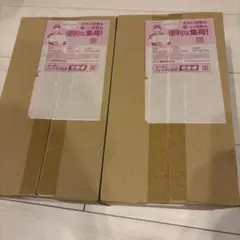 スペシャルBOX ポケモン センタートウホク　2セット