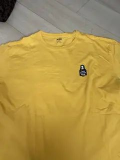 Item thumbnail for item e79b41ee-0f98-43ce-8ce3-f9548749c655