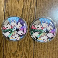 ポケモン 缶バッジコレクション パルデア編B ピーニャ&ドドゲザン