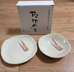 【新品.未使用】片岡鶴太郎デザイン❗️美濃焼.たけのこ柄.皿2枚セット