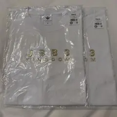 JSB KINGDOM Tシャツ／Lサイズ2点