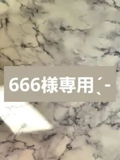 666様専用