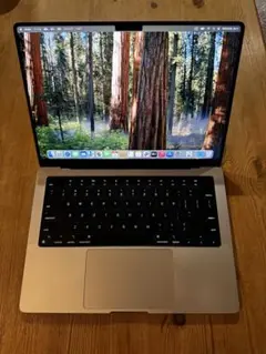 Apple MacBook Pro 14インチ M1 Pro 32GB US