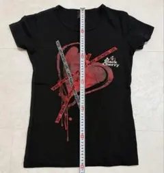 2026年最新】acid black cherry tシャツの人気アイテム - メルカリ