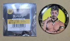 2026年最新】ハワイアンズ 缶バッジの人気アイテム - メルカリ