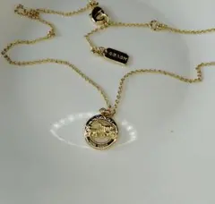 Item thumbnail for item 4487718d-d5a1-4550-be84-28d46cc63d98