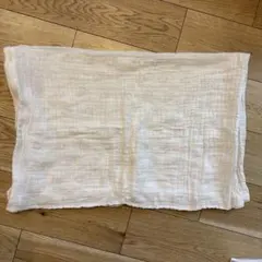 Item thumbnail for item d8aa54e6-7506-405c-8969-3653ccb36548