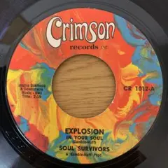 Item thumbnail for item 0c259db9-8d5f-44b8-8609-5c4ca557c7a5