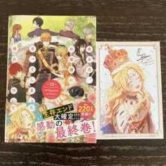 ある日、お姫様になってしまった件について 13