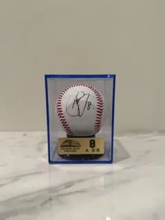 NEMS様 リクエスト 2点 まとめ商品