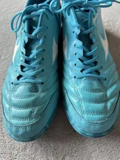 Item thumbnail for item f3430a88-df62-4302-a330-2f3cee5431e1