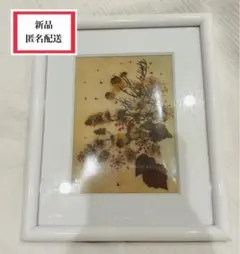 Item thumbnail for item 058830d7-5c00-4db6-b956-35515a04e389