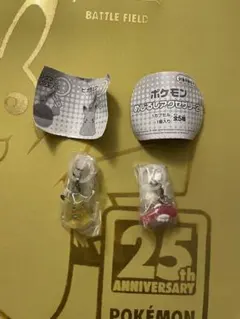 ポケモン めじるしアクセサリー 2 ピカチュウ シャリタツ