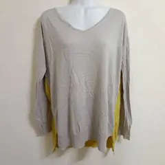GALLARDAGALANTE/ 長袖 チュニック レーヨン グレー イエローのサムネイル