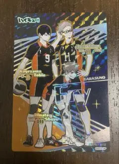 ハイキュー!! きゃらくたぶるカードグミ Vol.4 スーパーハイレア　烏野