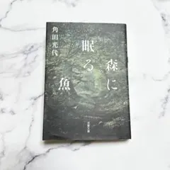 Item thumbnail for item 3408e434-dcfb-4b80-9823-206c65ce03c0