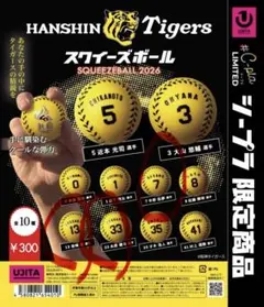 阪神タイガース スクイーズボール 2026 岩崎 糸原 中野 3点セット