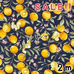 ★SALE★シーチング リスとアプコット プリントcol.ネイビー 2m