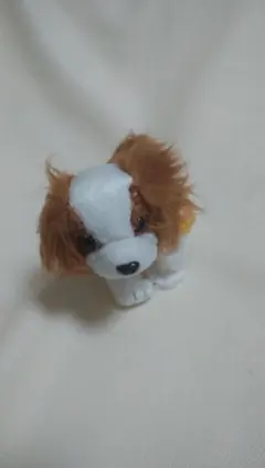 みいママ様 リクエスト 2点 まとめ商品