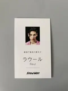 SnowMan Dangerholic デンホリ 名刺カード ラウール