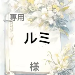 ルミ 様　専用