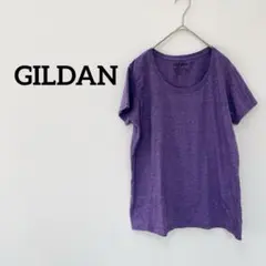 ギルダン パープル Tシャツ 半袖　Uネック　シンプル