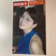 南野陽子 週刊ポスト オリジナルクリアファイル - メルカリ