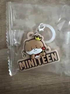 2026年最新】Miniteen seventeen ディノの人気アイテム - メルカリ