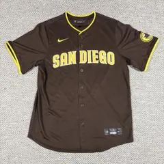 ダルビッシュ有 応援グッズ