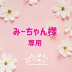 みーちゃん様専用　おまとめ　カクタス パーチ　No.705,No.582