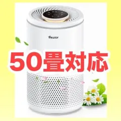 Item thumbnail for item 17b3e739-3d8f-4cfb-a408-0a0b85291d5b