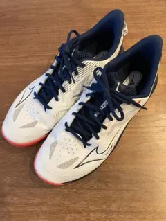MIZUNO WAVE EXCEED 6 SW オムニクレー テニスシューズ - メルカリ