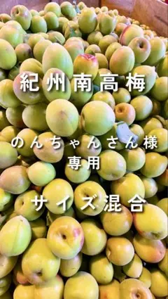 のんちゃん様専用南高梅購入ページ