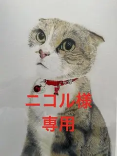 ニコル様専用 【霊感体質な方お守りブレス】ラピスラズリ オニキス ブレスレット