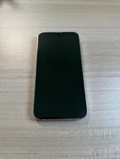iPhone13Pro 本体のサムネイル
