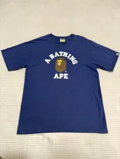 Item thumbnail for item 627aa955-e23e-45b1-bb02-482927648adc