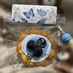 pupuland スクイーズ ブルーベリータルト