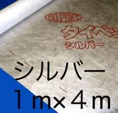 Item thumbnail for item 82090b86-7688-4a90-94a0-3d17a1d87afe