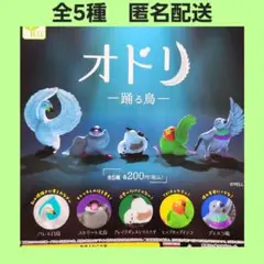 全5種 オドリ 躍る鳥 ガチャ フィギュア