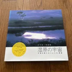 Item thumbnail for item aeb594f6-796f-47e4-ae3b-b9dde6334e20