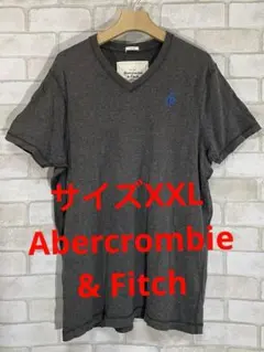 Abercrombie & Fitch　アバクロ　刺繍ロゴ　半袖Tシャツ
