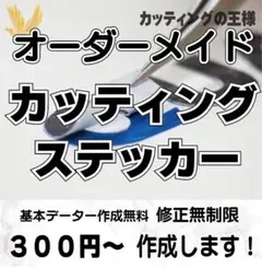 オーダーメイドカッティングステッカー作成　カー　車　専用車　381