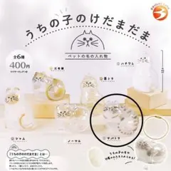 うちの子のけだまだま サバトラ