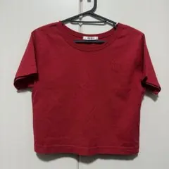半袖 Tシャツ 赤 レッド クロップド丈 ショート丈 刺繍 ロゴ ワンポイント