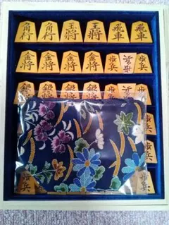 Item thumbnail for item 75410355-a5fa-48e3-90cb-c06a0e93a1eb